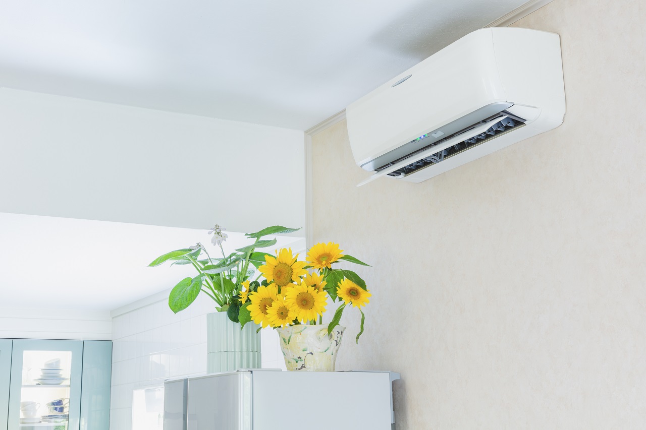 Jak poprawić jakość powietrza w mieszkaniu?