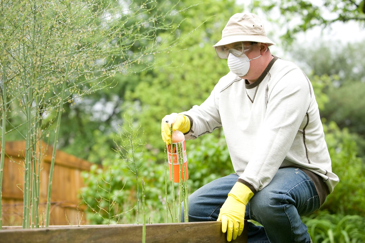 Jakie rozwiązania mogą pomóc nam przy pracy w ogrodzie?